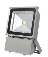 戶外投射燈-100W